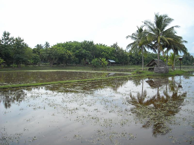Maleisie (146).jpg